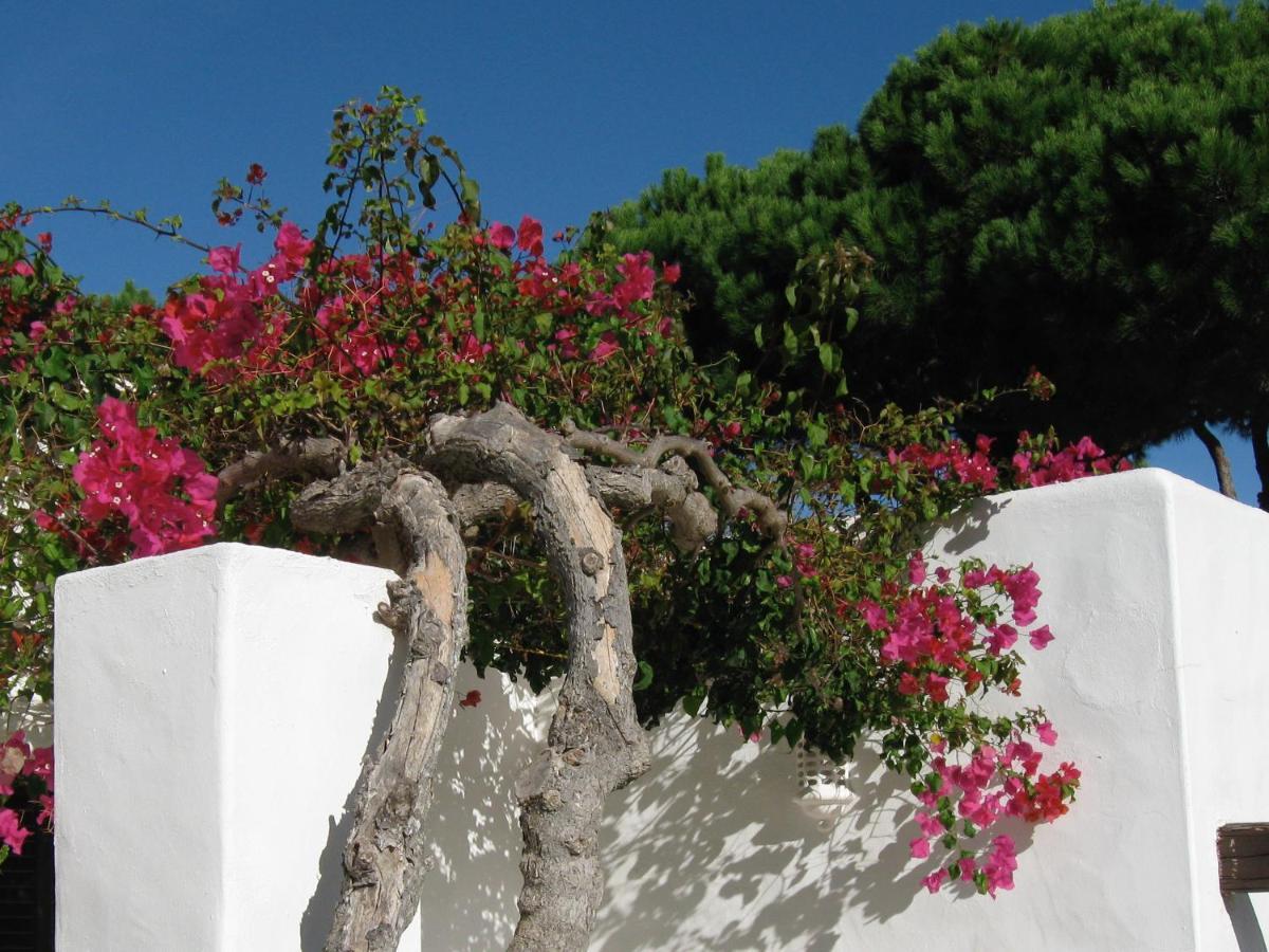 Balaia Golf Village Apartment 332 By Mickey Pool And Snack Bar Albufeira Buitenkant foto